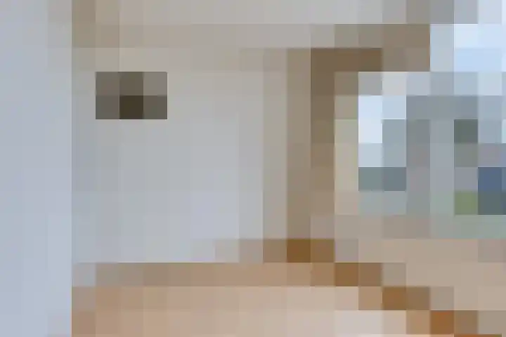 Seinestraat 8 Budel thumbnail 14
