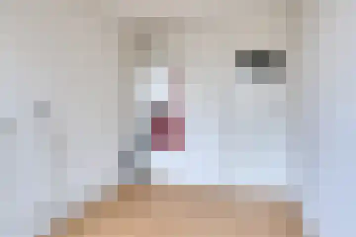 Seinestraat 8 Budel thumbnail 16