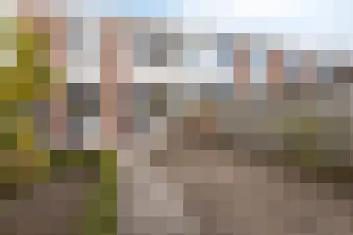 Seinestraat 8 Budel thumbnail 20
