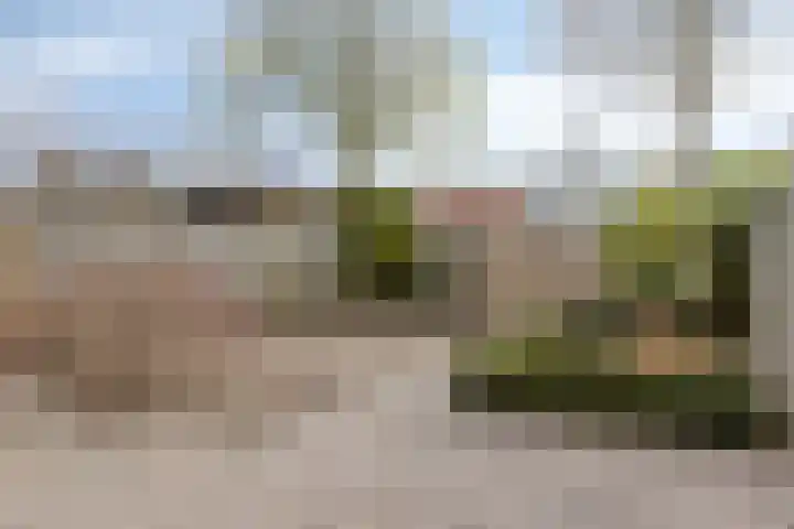 Seinestraat 8 Budel thumbnail 21