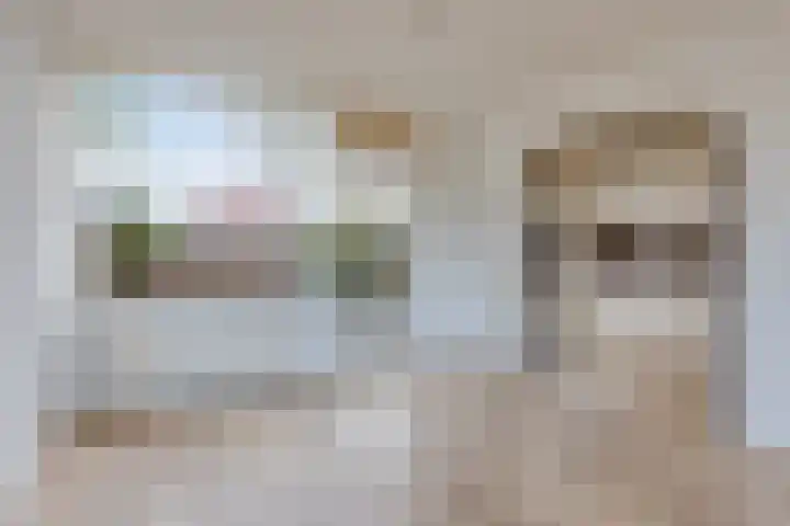 Seinestraat 8 Budel thumbnail 5