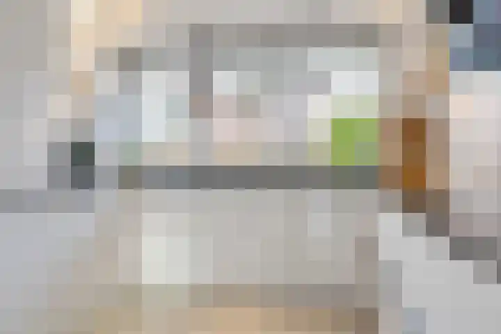 Seinestroom 7 Zoetermeer thumbnail 11