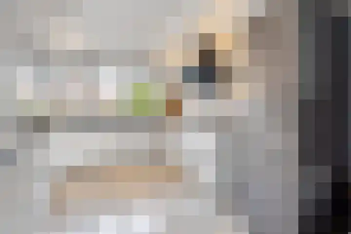 Seinestroom 7 Zoetermeer thumbnail 9