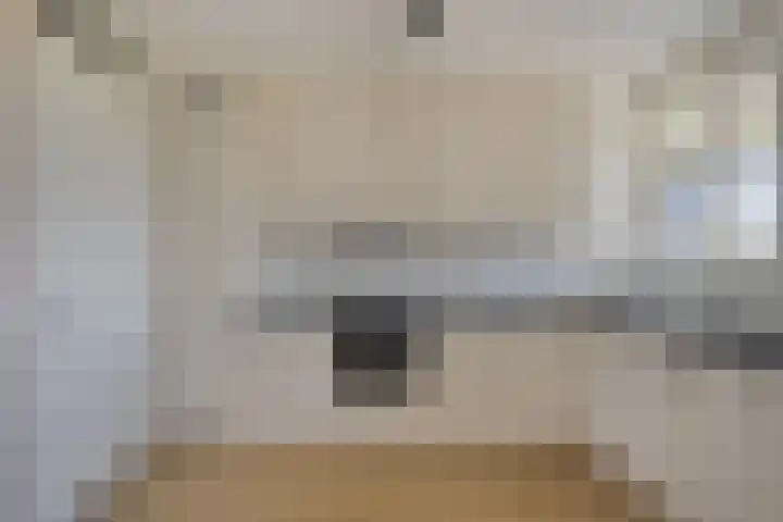 Seinhuiswei 8 Barendrecht thumbnail 14