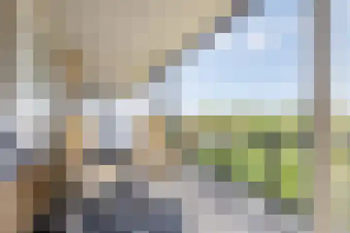 Seinhuiswei 8 Barendrecht thumbnail 16