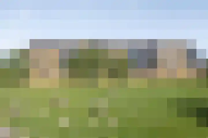 Seinhuiswei 8 Barendrecht thumbnail 27