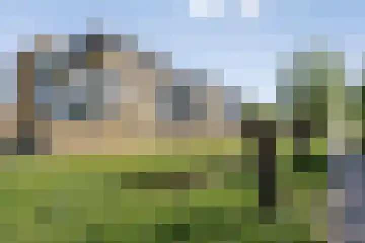 Seinhuiswei 8 Barendrecht thumbnail 29