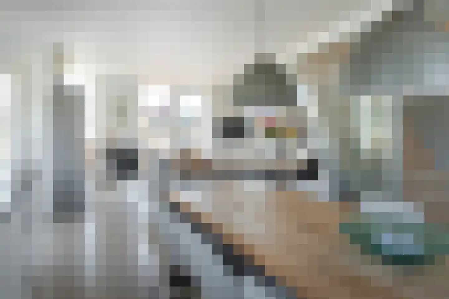 Seinpôlle 14 Grou thumbnail 14