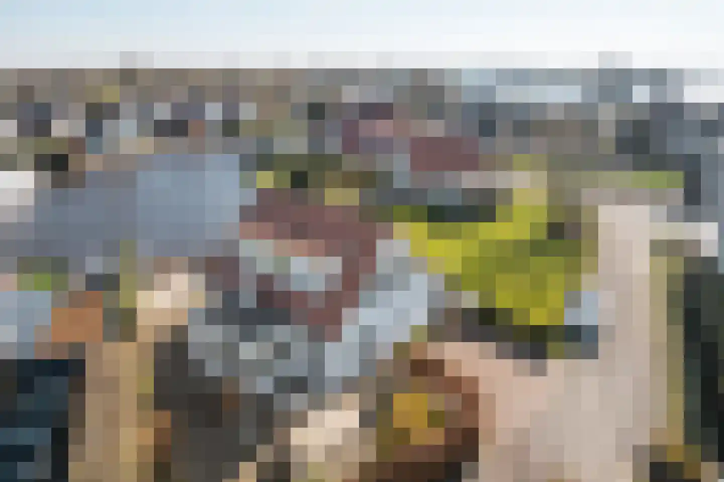 Seinpôlle 14 Grou thumbnail 32