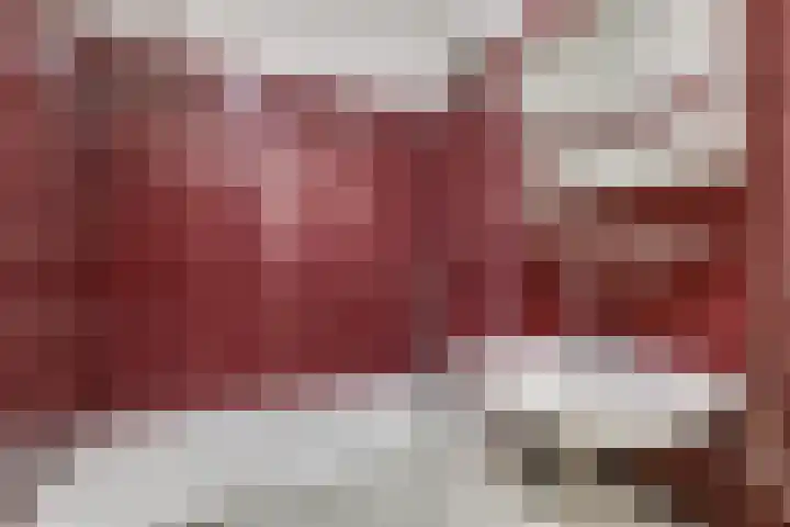 Seinpostduin 535 Den Haag thumbnail 11