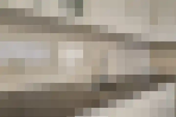 Seinpostduin 535 Den Haag thumbnail 16