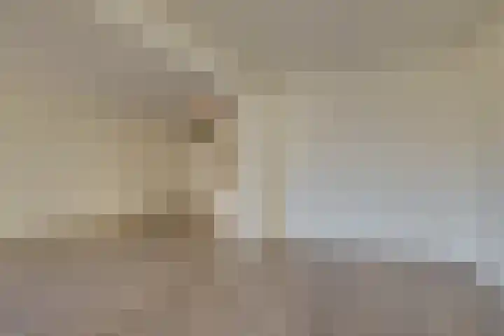Seinpostduin 535 Den Haag thumbnail 19