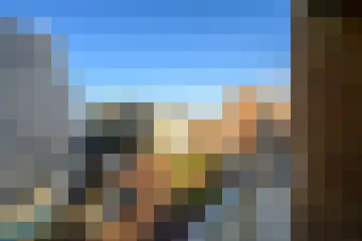 Seinpostduin 535 Den Haag thumbnail 24