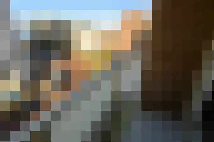 Seinpostduin 535 Den Haag thumbnail 25