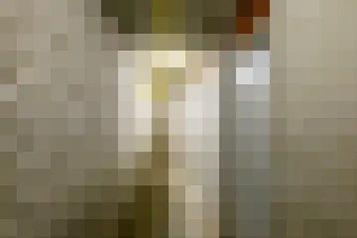 Seinpostduin 535 Den Haag thumbnail 28