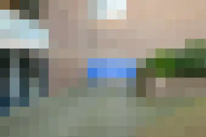 Seinpostduin 535 Den Haag thumbnail 29