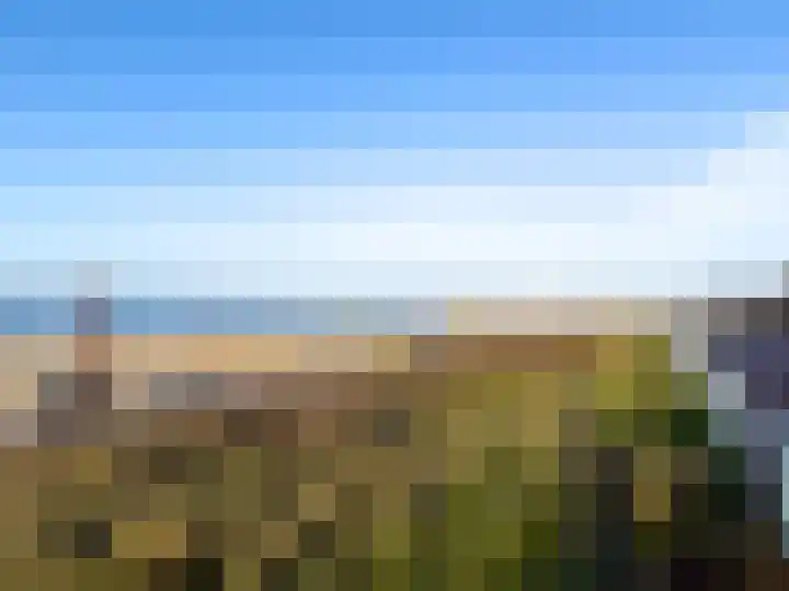 Seinpostduin 535 Den Haag thumbnail 31