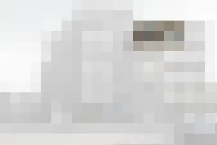 Seinpostduin 535 Den Haag thumbnail 36