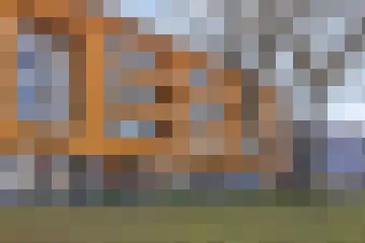 Seinstraat 58 Emmen thumbnail 21