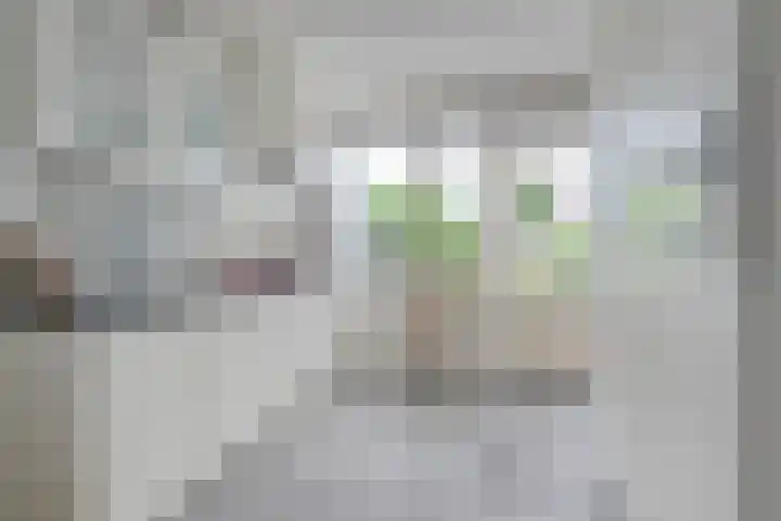 Seissingel 72 Middelburg thumbnail 8