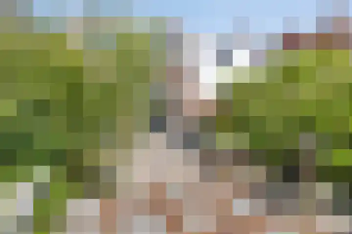 Seisstraat 31 Middelburg thumbnail 22