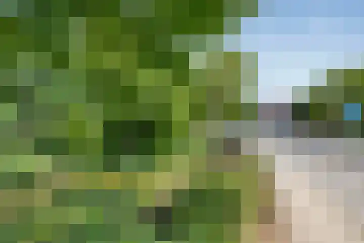 Seisstraat 31 Middelburg thumbnail 29