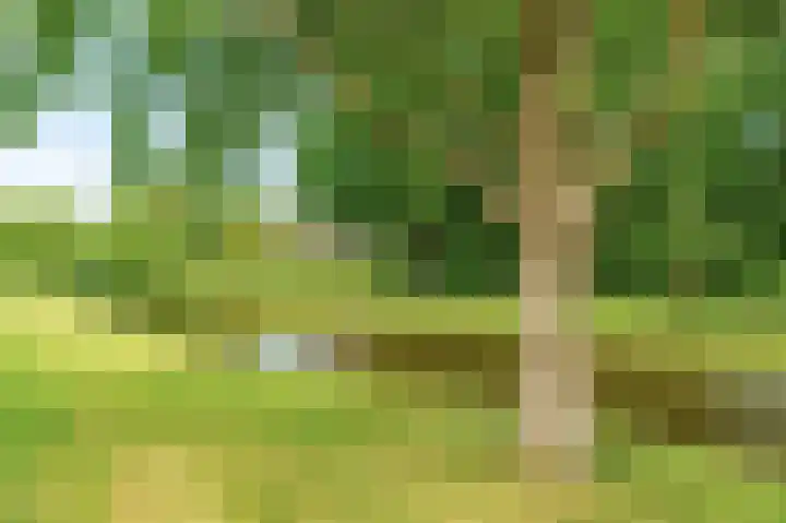 Selde Rust 27 33 Amstelveen thumbnail 23