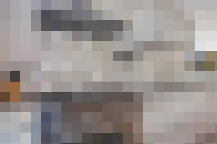 Sella 6 Veldhoven thumbnail 13