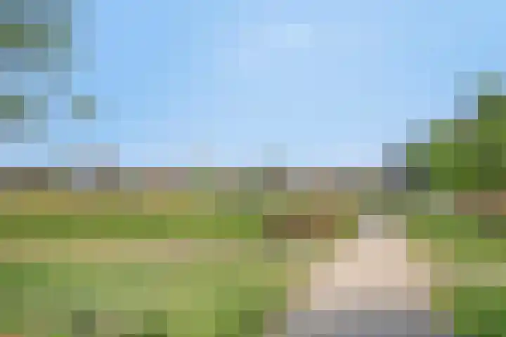 Sella 6 Veldhoven thumbnail 43