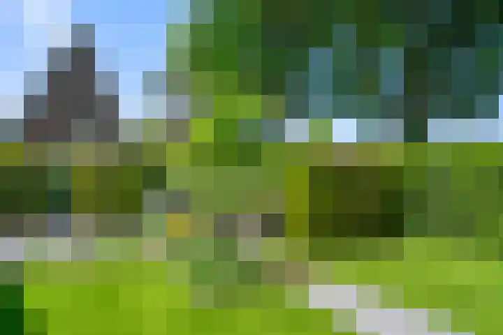 Seltershof 25 Bennekom thumbnail 13