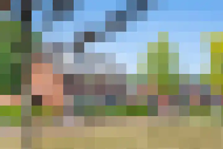 Seltershof 25 Bennekom thumbnail 4