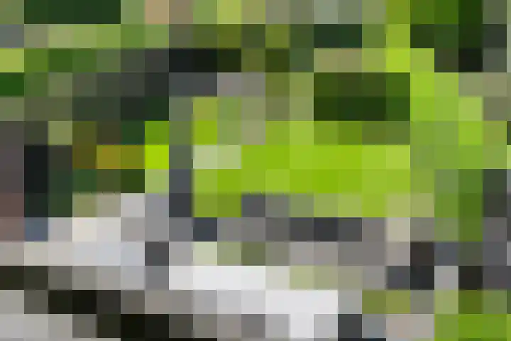 Seltershof 25 Bennekom thumbnail 42