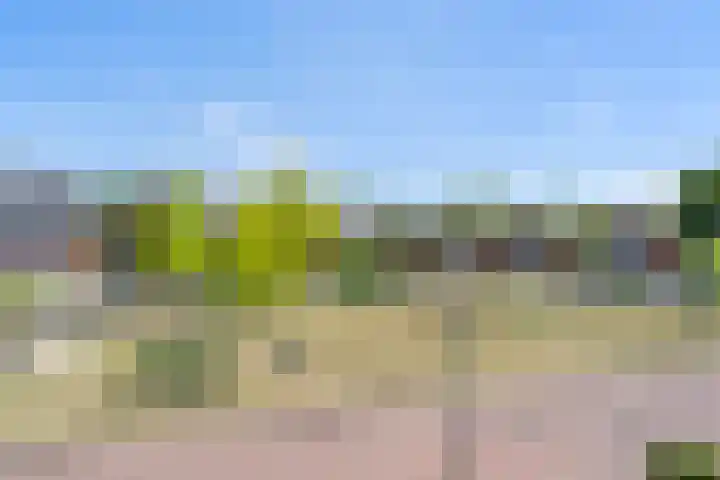 Seltershof 25 Bennekom thumbnail 46