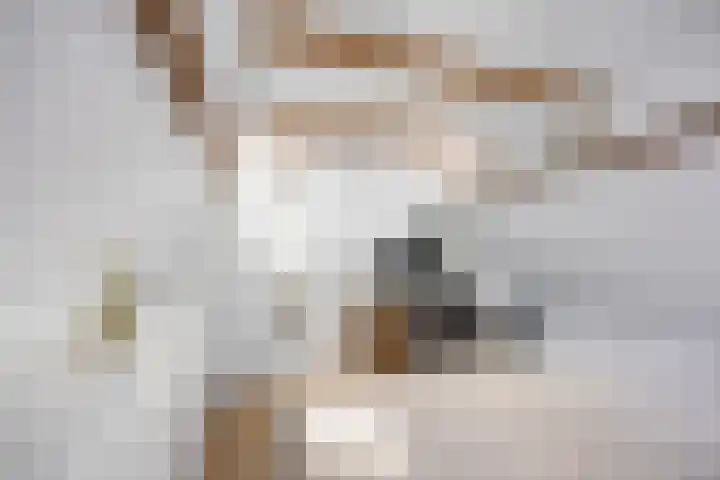Selwerderstraat 20 Groningen thumbnail 22