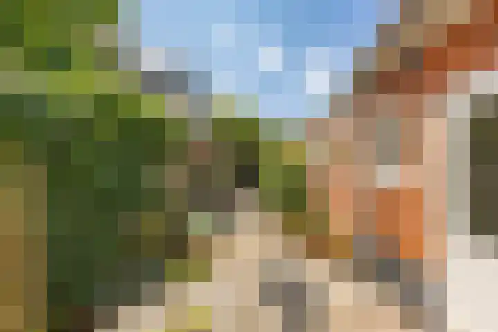 Selwerderstraat 20 Groningen thumbnail 31