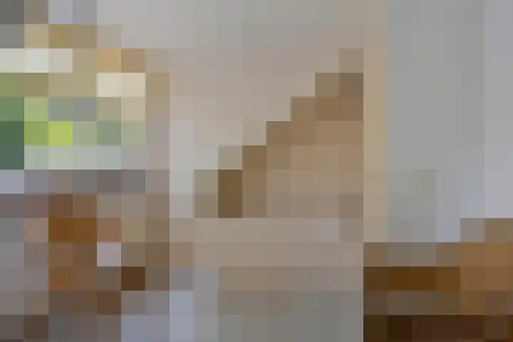 Selwerderstraat 20 Groningen thumbnail 34