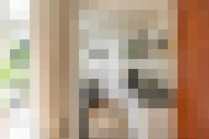 Selwerderstraat 20 Groningen thumbnail 8