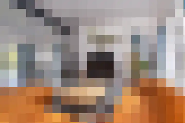 Senecalaan 12 Almere thumbnail 10