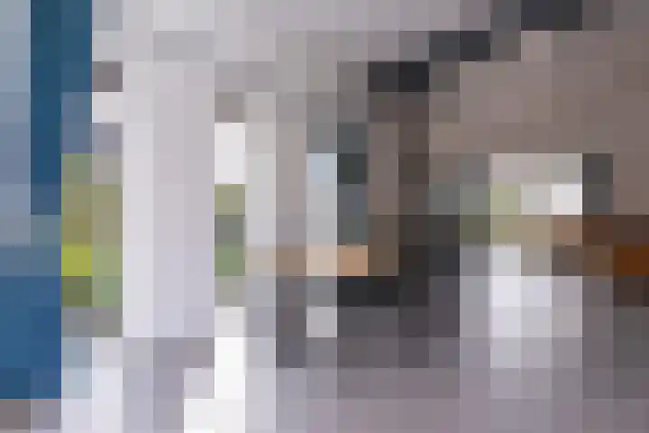 Senecalaan 12 Almere thumbnail 15