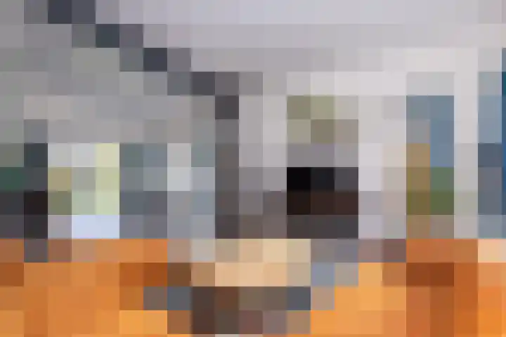 Senecalaan 12 Almere thumbnail 21