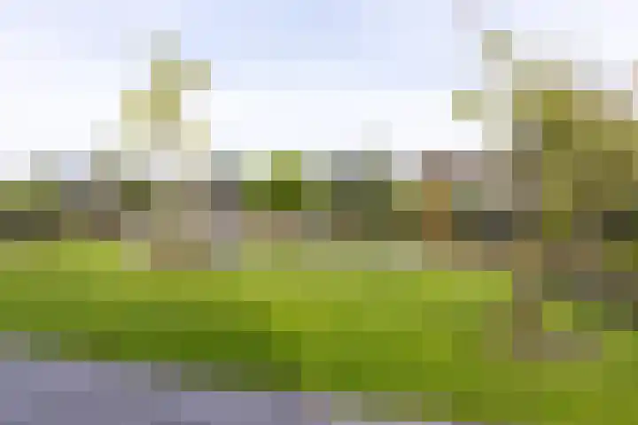 Senecalaan 12 Almere thumbnail 29