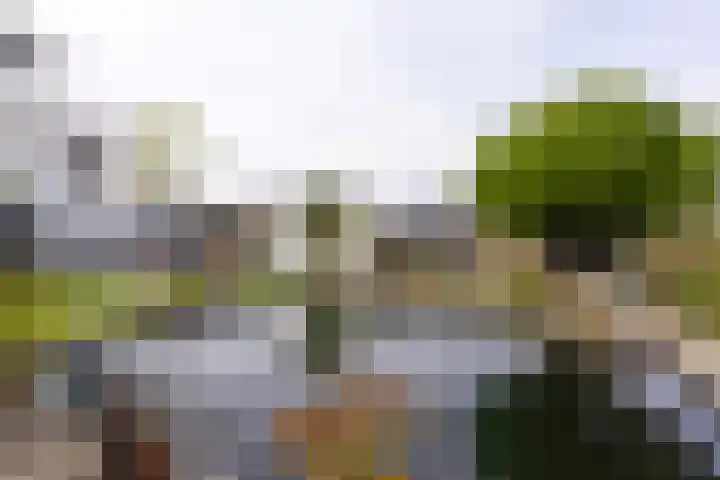 Senecalaan 12 Almere thumbnail 32