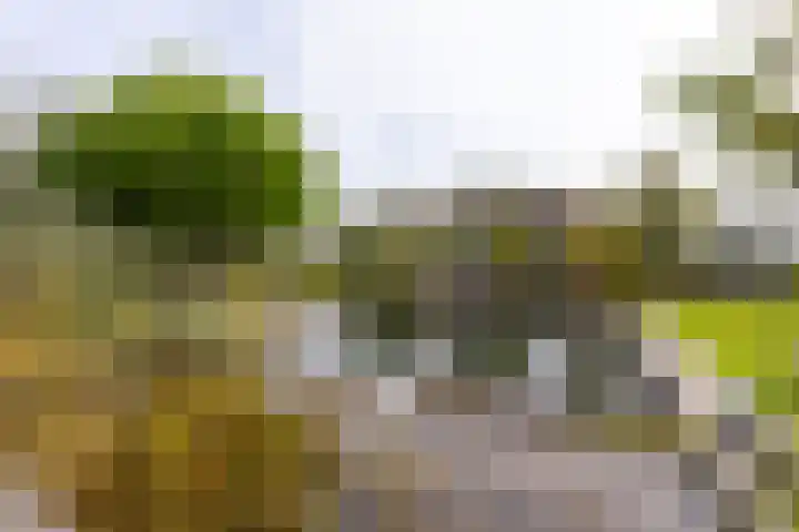 Senecalaan 12 Almere thumbnail 34