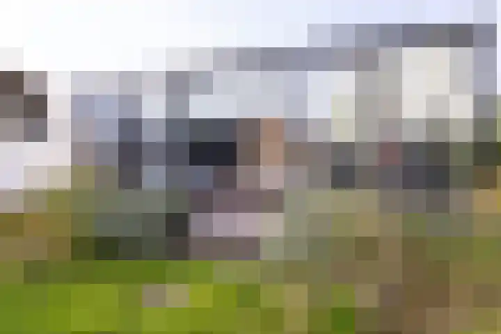 Senecalaan 12 Almere thumbnail 37