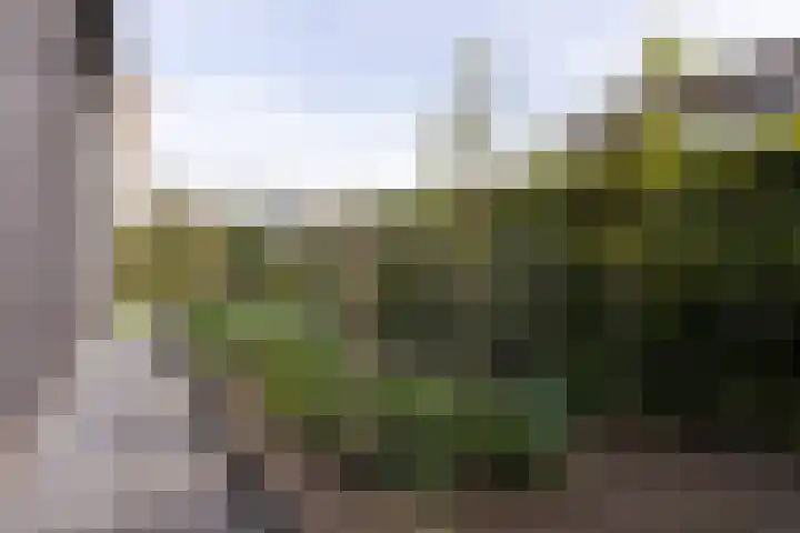 Senecalaan 12 Almere thumbnail 42