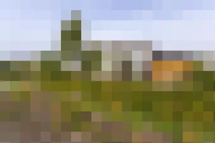 Senecalaan 12 Almere thumbnail 5