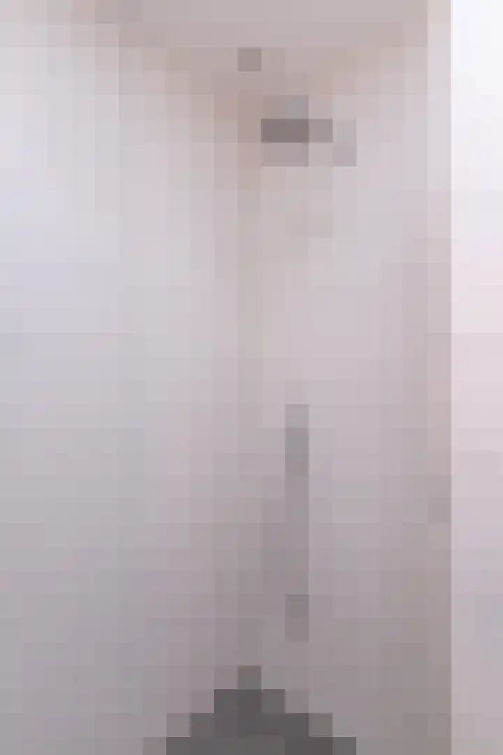 Senecalaan 12 Almere thumbnail 53