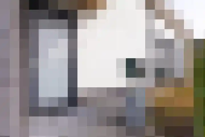 Senecalaan 12 Almere thumbnail 6