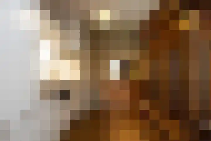 Senecalaan 25 's-Hertogenbosch thumbnail 32