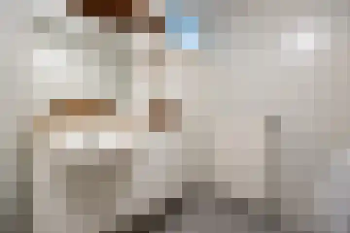 Senecalaan 25 's-Hertogenbosch thumbnail 40